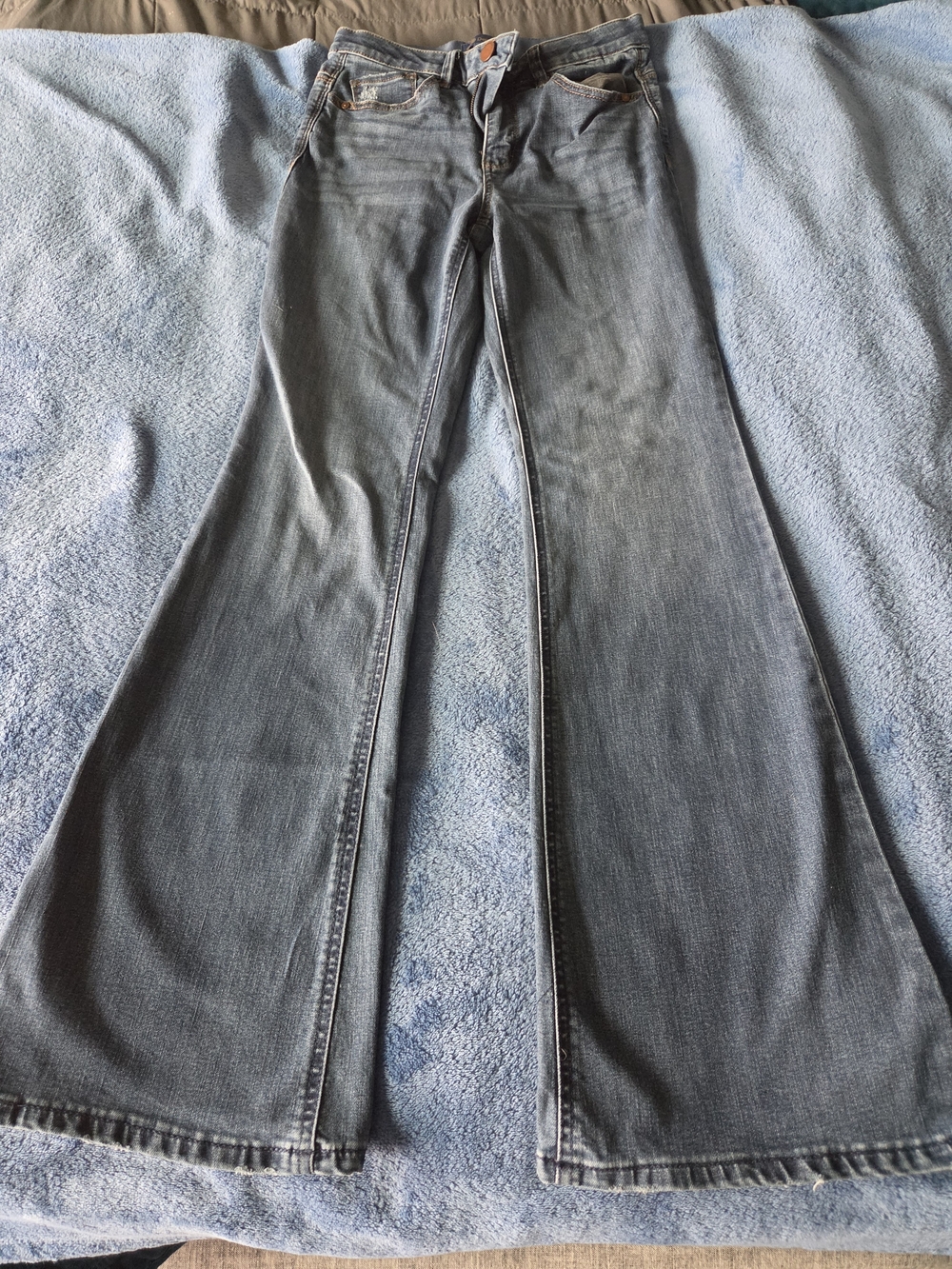 Democracy Women's Flare Jeans in Faded Blue